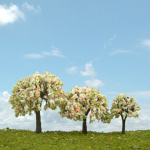 model trees